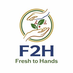 Fresh To Hands